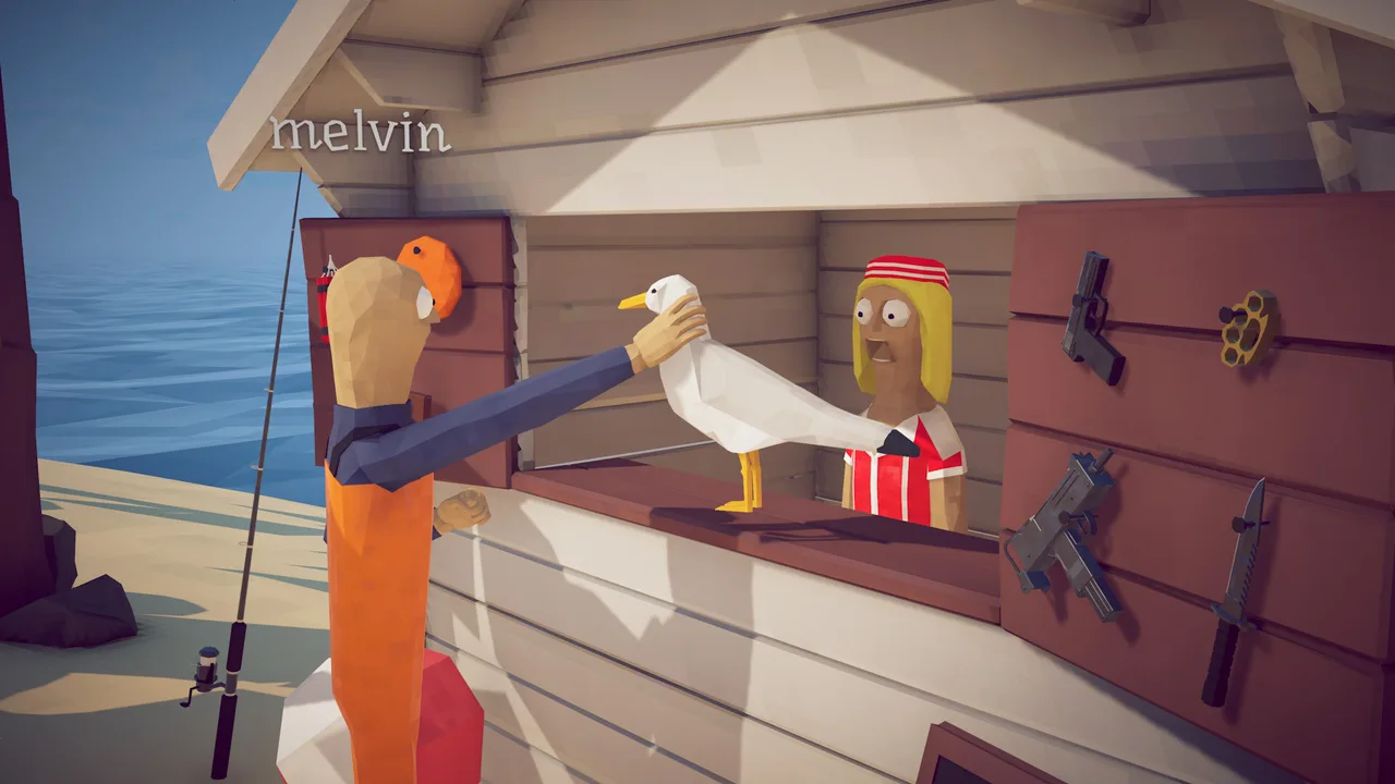 A seagull delivered alive to the island shop